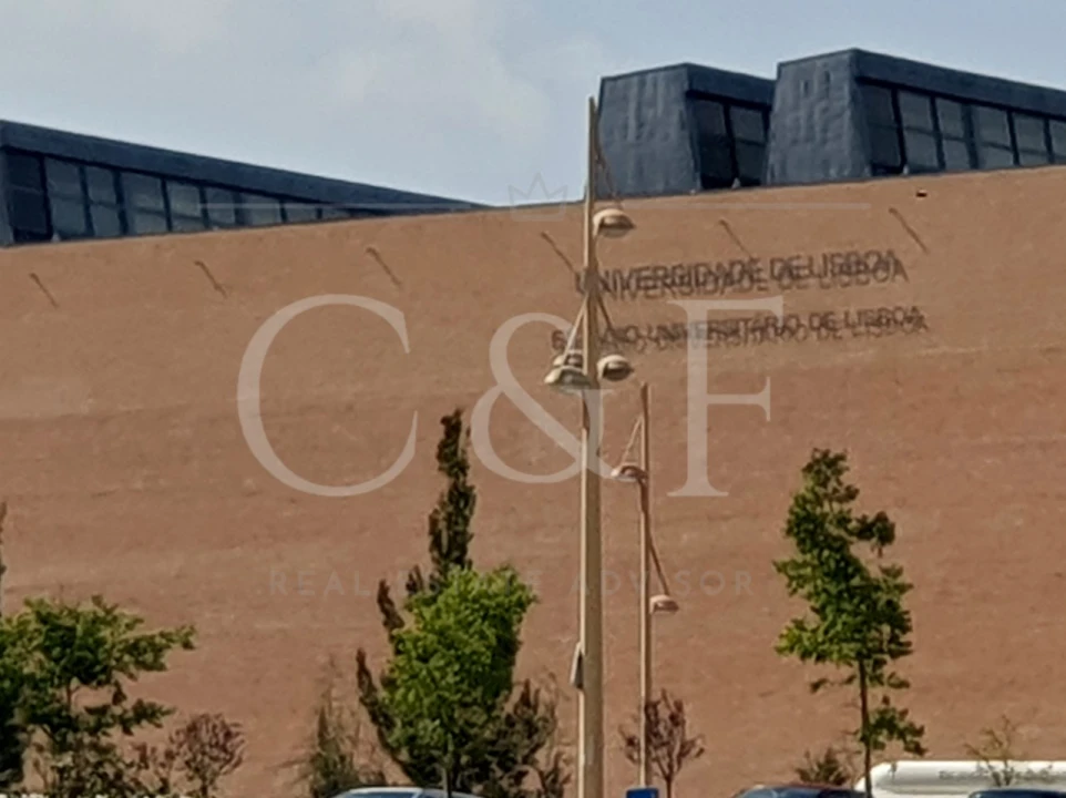 Terreno Agricola ou Rústico para Venda em Alcantara Foto 2