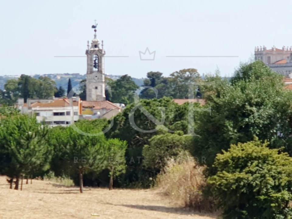 Terreno Agricola ou Rústico para Venda em Alcantara Foto 6