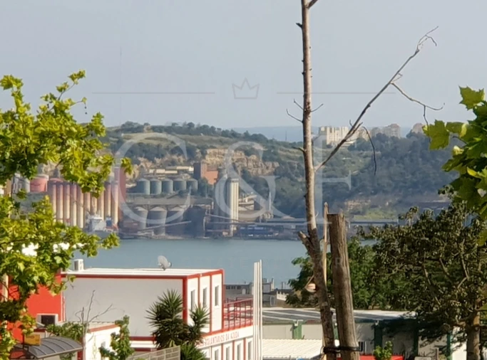 Terreno Agricola ou Rústico para Venda em Alcantara Foto 10