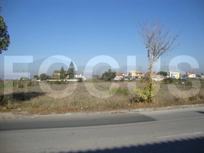 Terreno Agricola ou Rústico para Venda em Cacia Foto 1