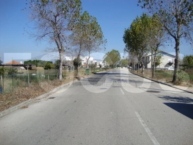 Terreno Agricola ou Rústico para Venda em Cacia Foto 2