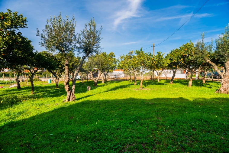 Moradia T4 para Venda em Vendas Novas Foto 7