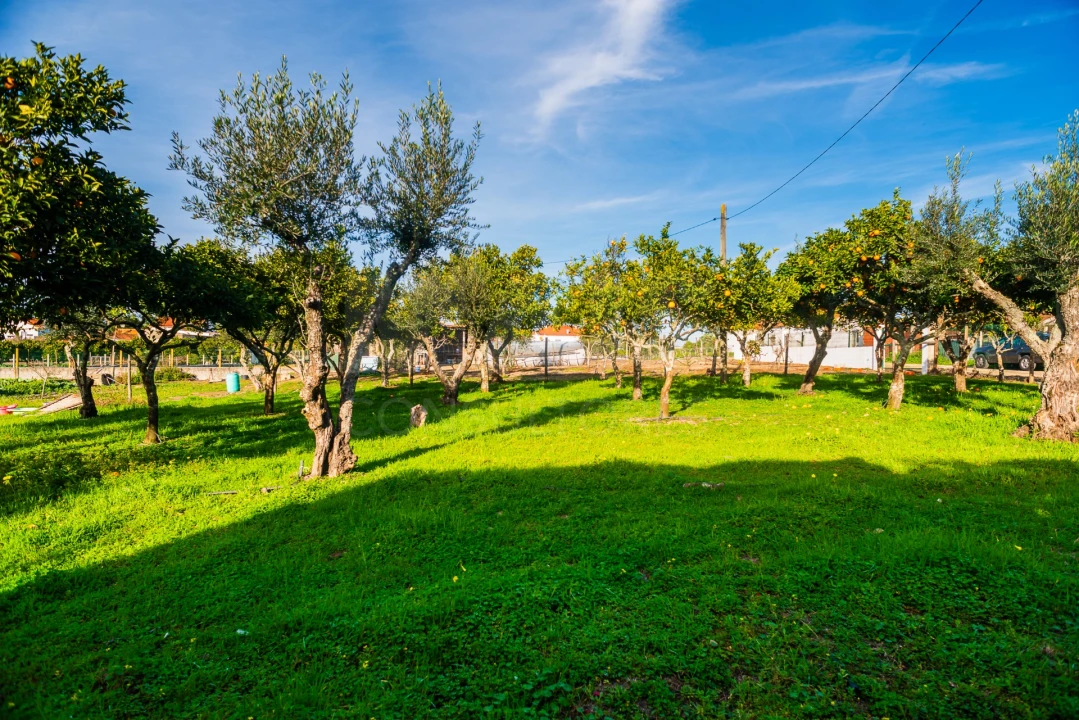 Moradia T4 para Venda em Vendas Novas Foto 7