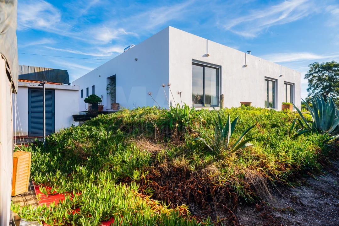 Moradia T4 para Venda em Vendas Novas Foto 6