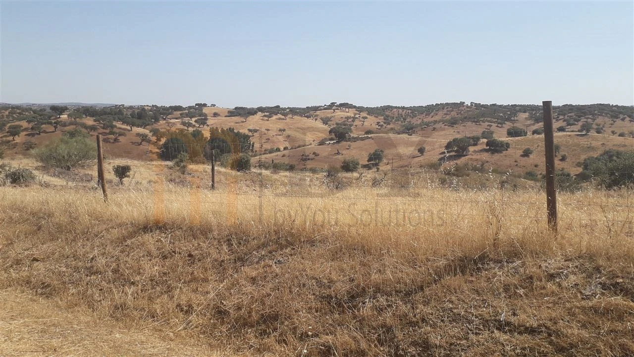 Quinta para Venda em Mertola Foto 15