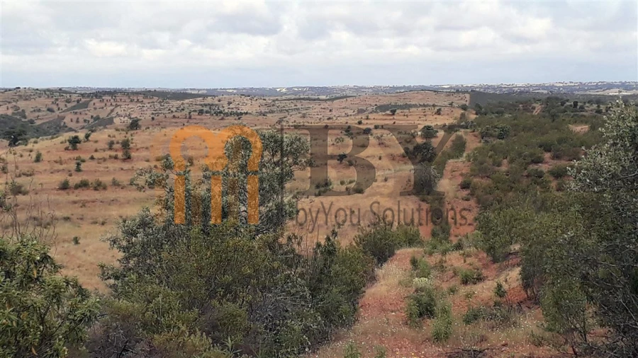 Quinta para Venda em Mertola Foto 4