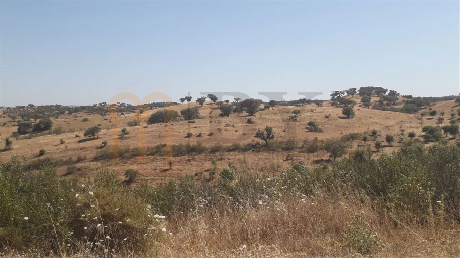 Quinta para Venda em Mertola Foto 17