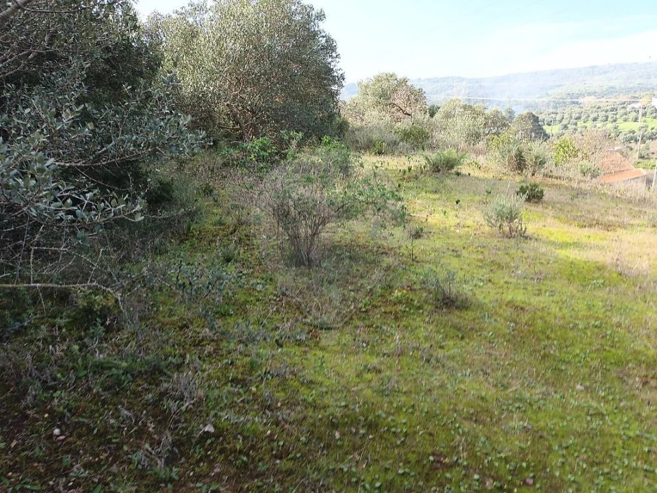 Moradia T3 para Venda em Alverca do Ribatejo e Sobralinho Foto 5