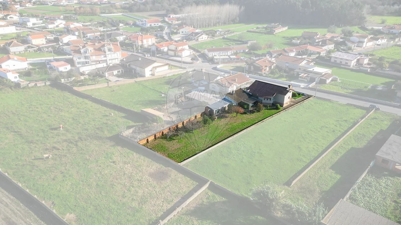 Moradia T3 para Venda em Monte Foto 43