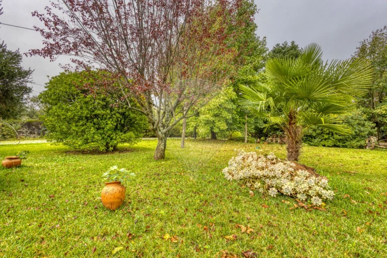 Quinta T3 para Venda em Paredes Foto 20