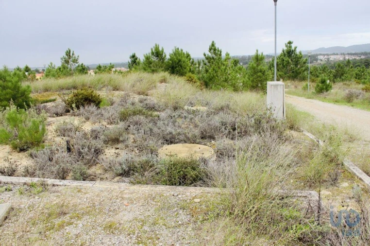Terreno para Venda em Sesimbra (Castelo) Foto 9