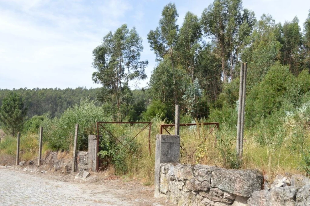 Terreno para Venda em Termas de São Vicente Foto 2