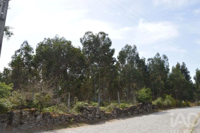 Terreno para Venda em Termas de São Vicente Foto 9