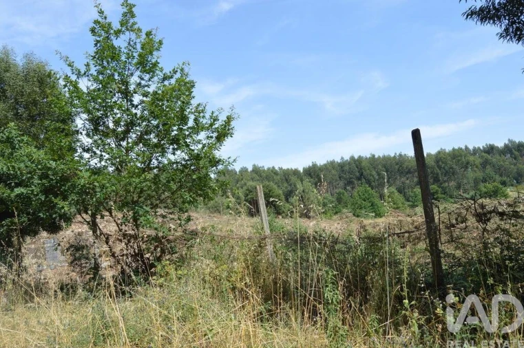 Terreno para Venda em Termas de São Vicente Foto 4