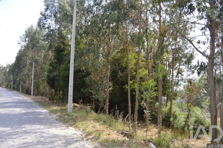 Terreno para Venda em Termas de São Vicente Foto 12