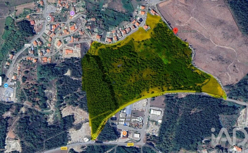 Terreno para Venda em Termas de São Vicente Foto 2