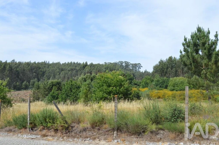 Terreno para Venda em Termas de São Vicente Foto 3