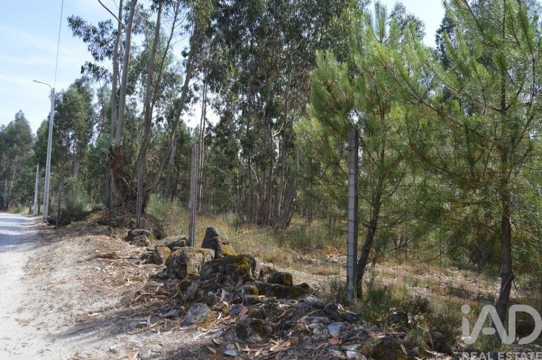 Terreno para Venda em Termas de São Vicente Foto 7