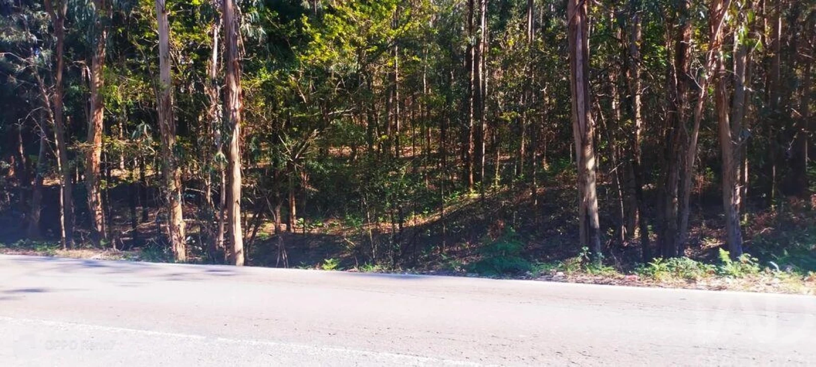 Terreno para Venda em Fonte Arcada Foto 25