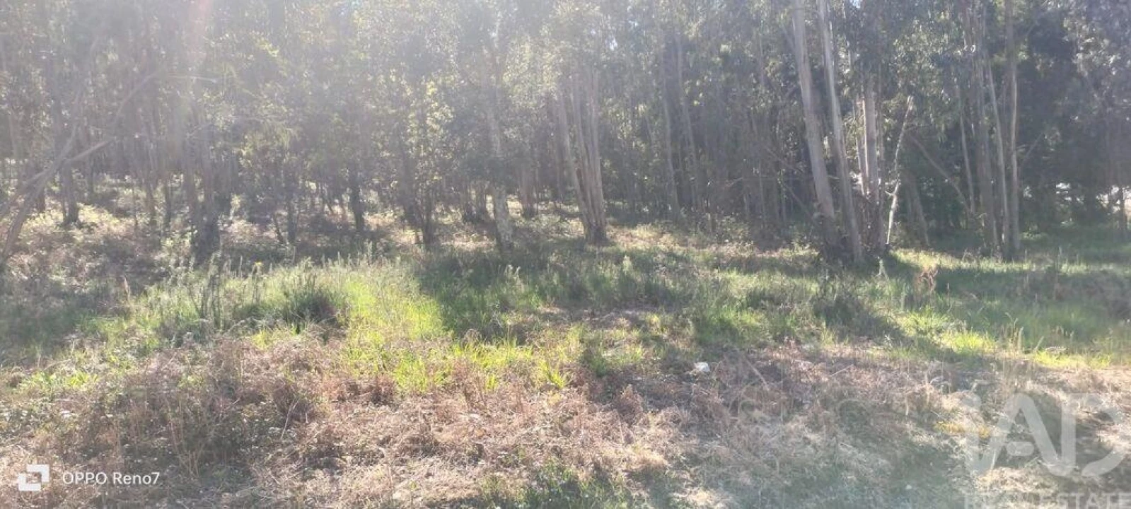 Terreno para Venda em Fonte Arcada Foto 6