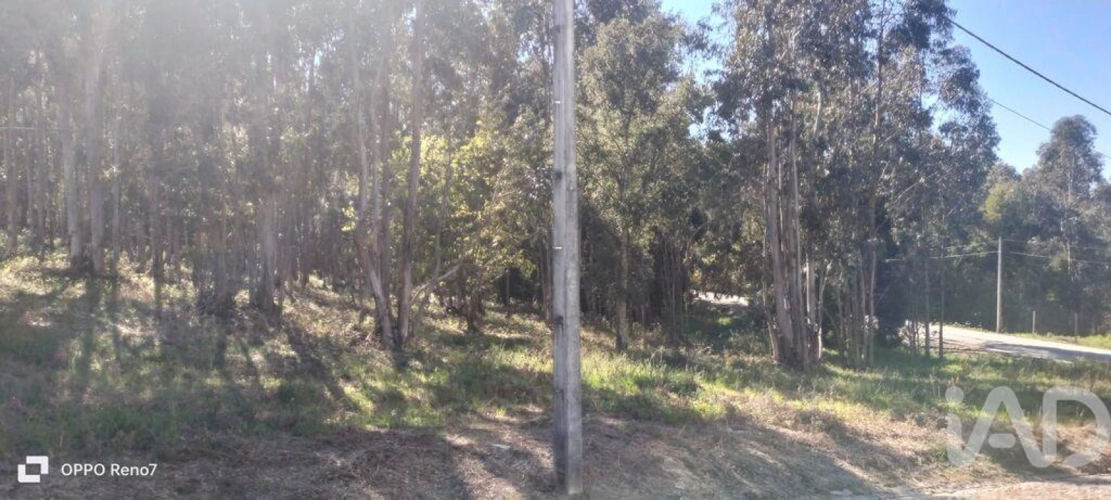 Terreno para Venda em Fonte Arcada Foto 7