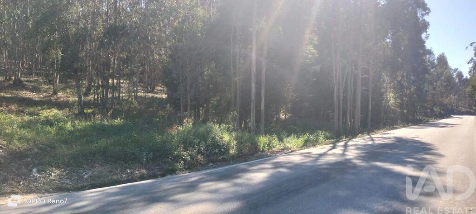 Terreno para Venda em Fonte Arcada Foto 19