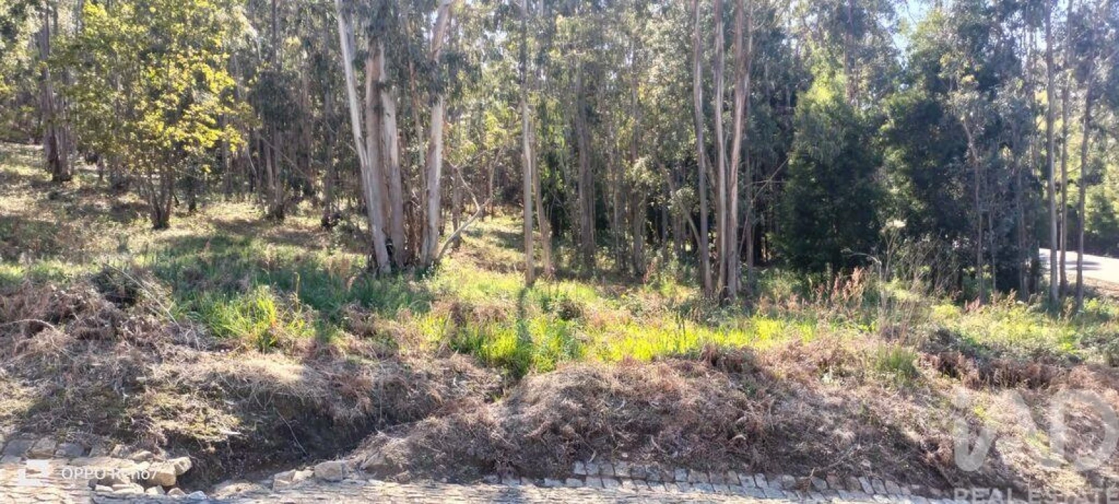 Terreno para Venda em Fonte Arcada Foto 8