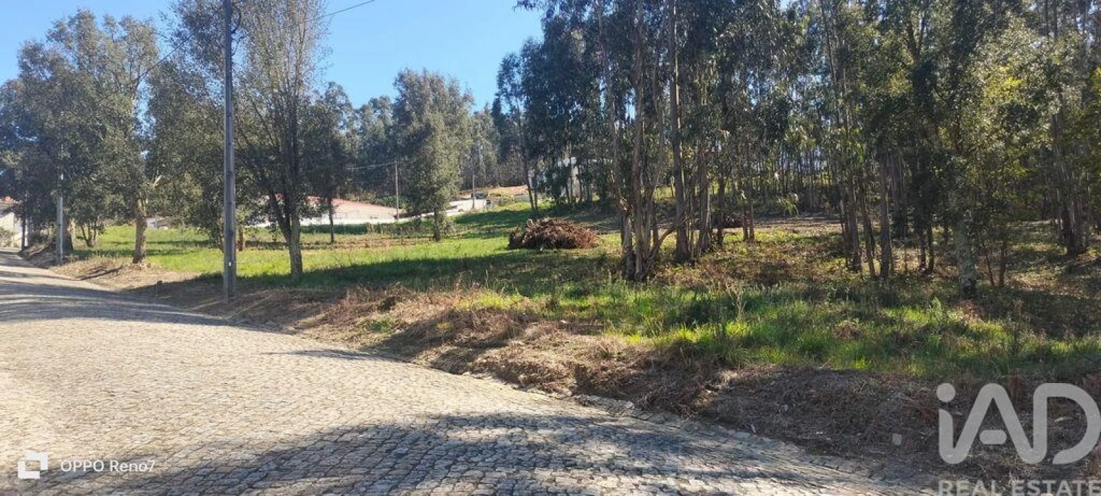 Terreno para Venda em Fonte Arcada Foto 22