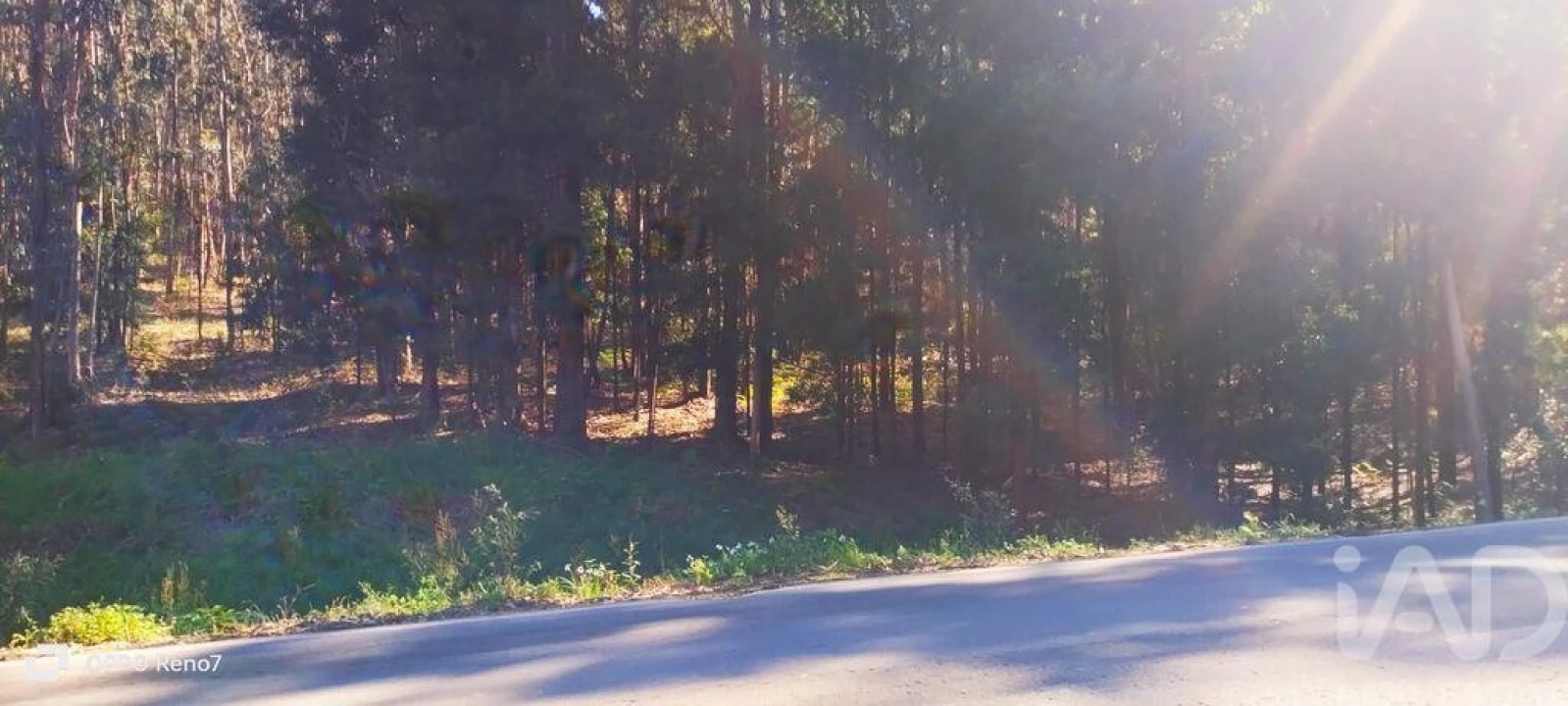 Terreno para Venda em Fonte Arcada Foto 17