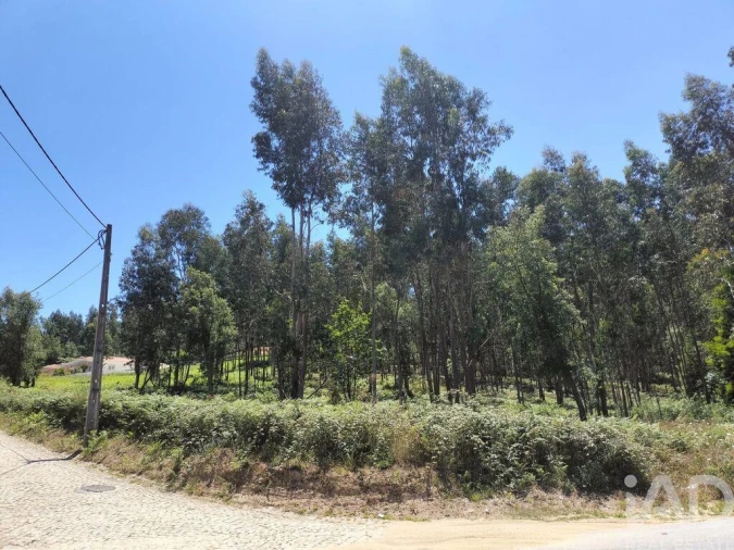 Terreno para Venda em Fonte Arcada Foto 23