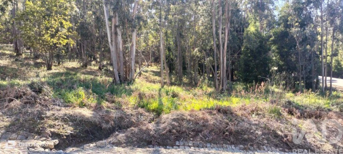 Terreno para Venda em Fonte Arcada Foto 8