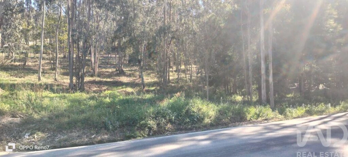 Terreno para Venda em Fonte Arcada Foto 14