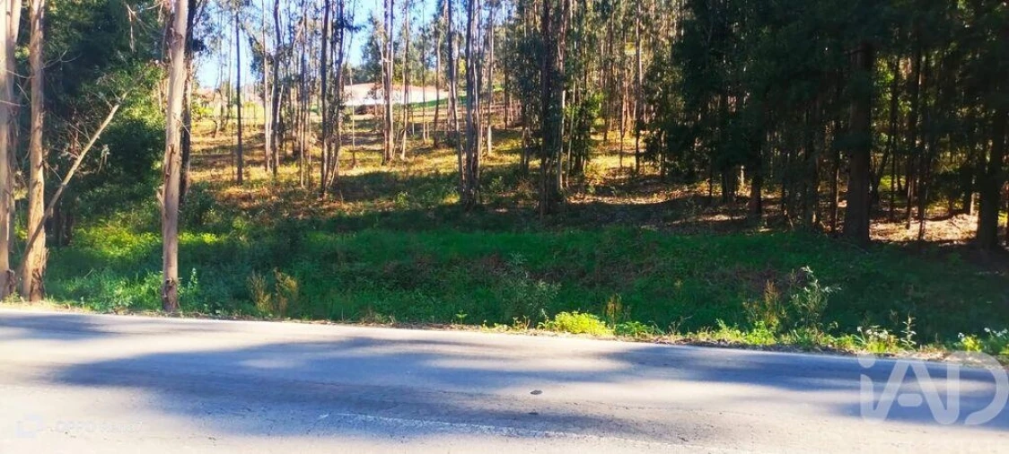 Terreno para Venda em Fonte Arcada Foto 18