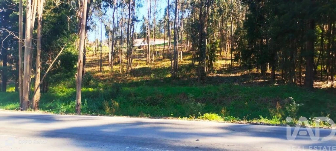 Terreno para Venda em Fonte Arcada Foto 16
