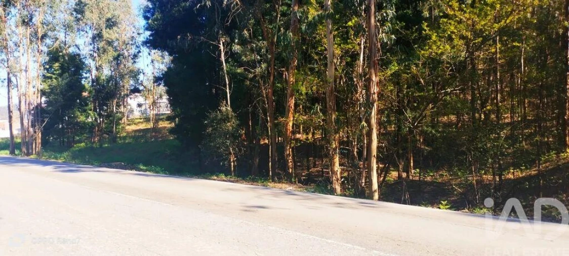 Terreno para Venda em Fonte Arcada Foto 13
