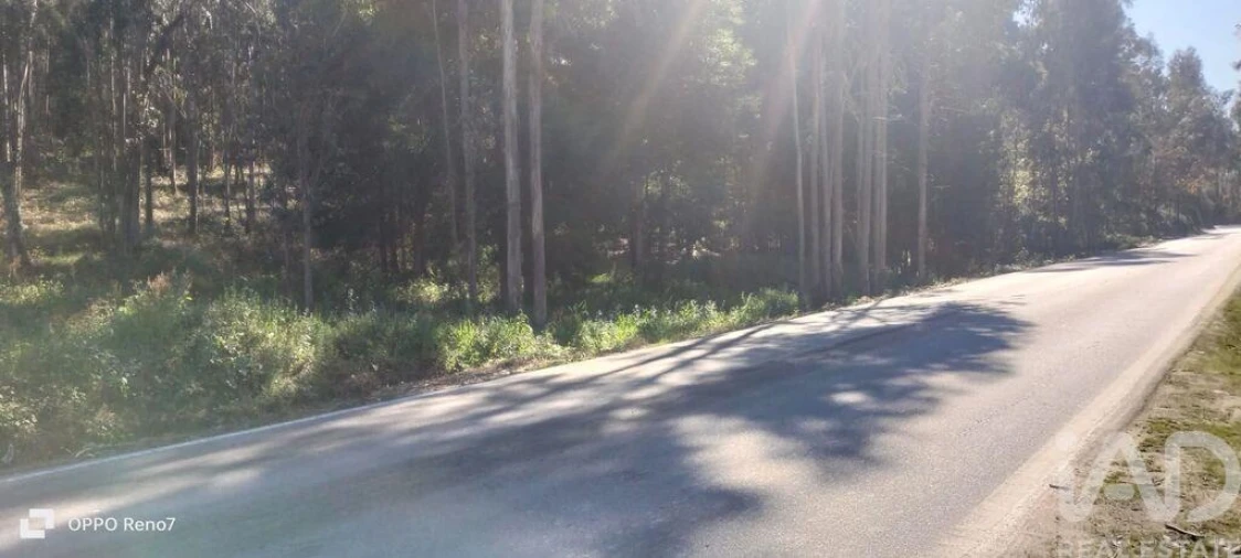 Terreno para Venda em Fonte Arcada Foto 9