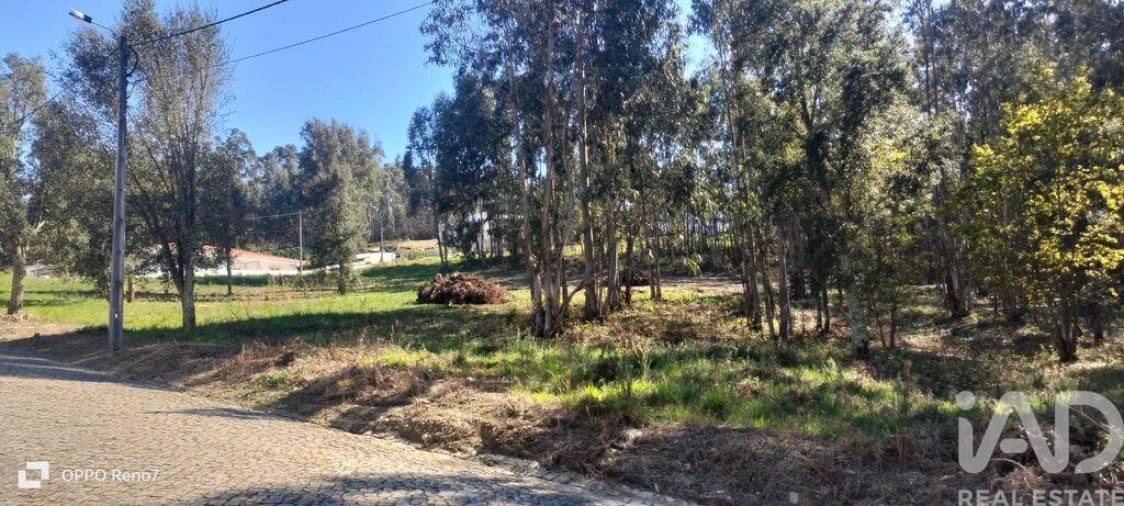 Terreno para Venda em Fonte Arcada Foto 2