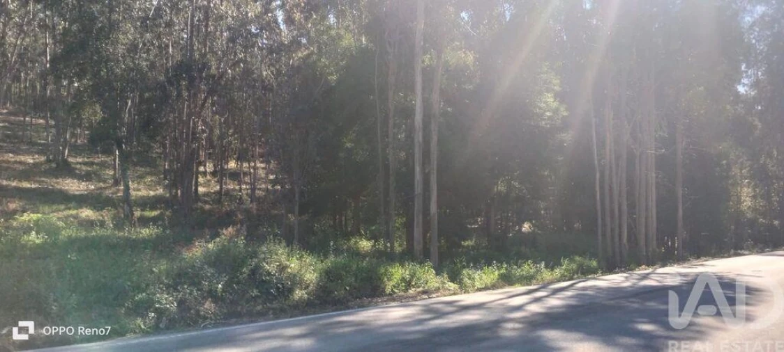Terreno para Venda em Fonte Arcada Foto 20