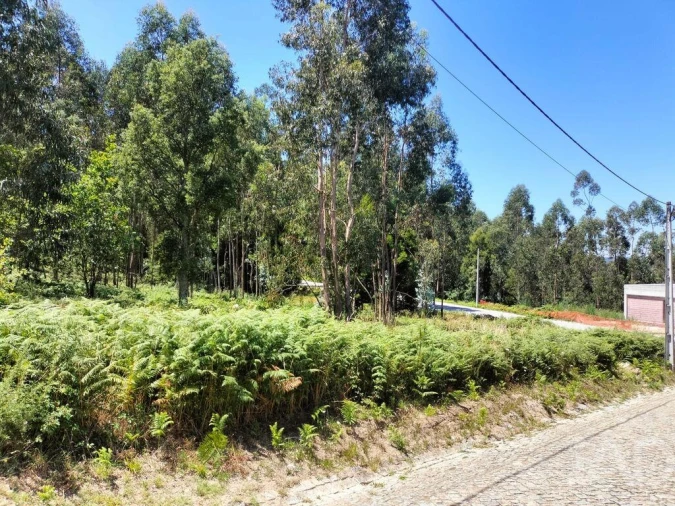 Terreno para Venda em Fonte Arcada Foto 4