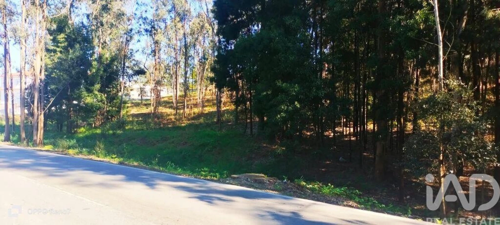 Terreno para Venda em Fonte Arcada Foto 10