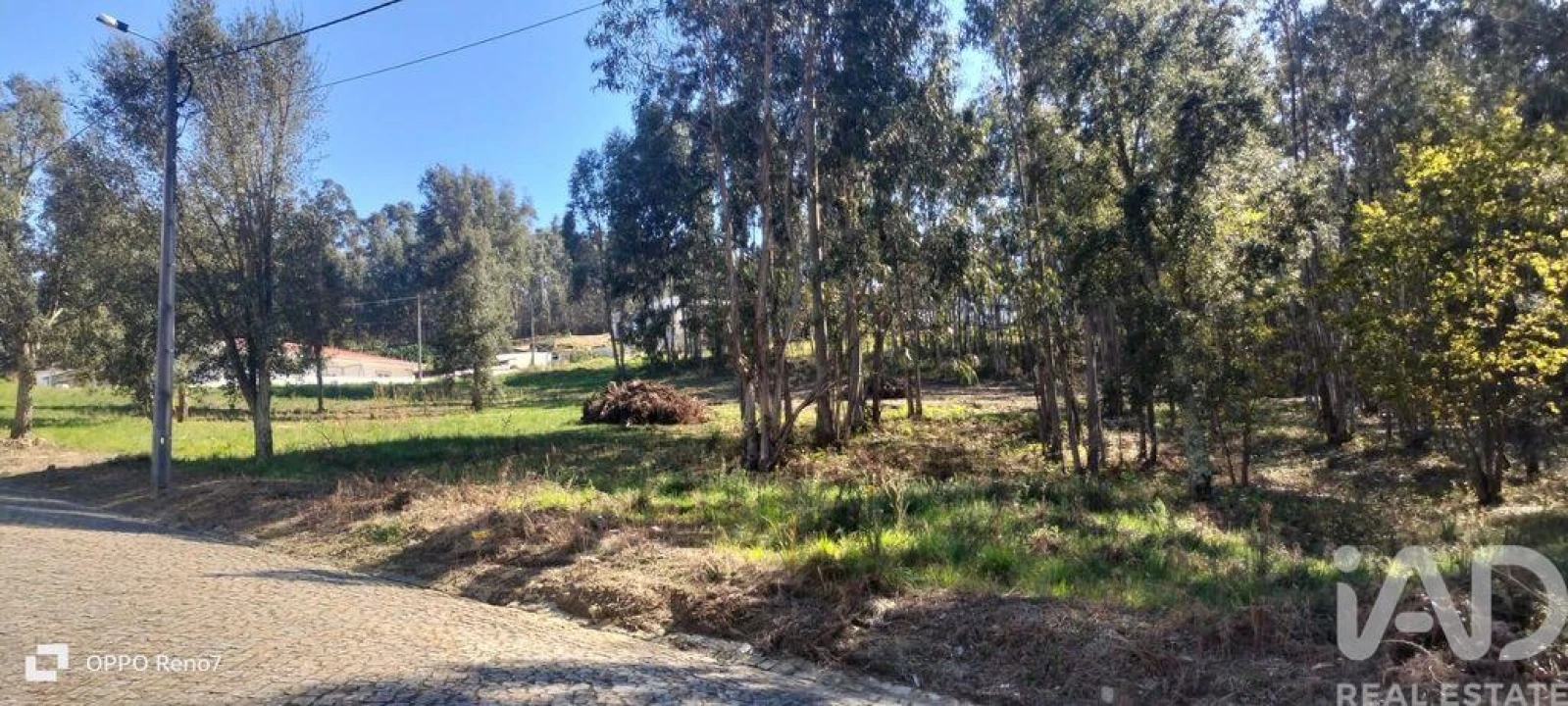 Terreno para Venda em Fonte Arcada Foto 2