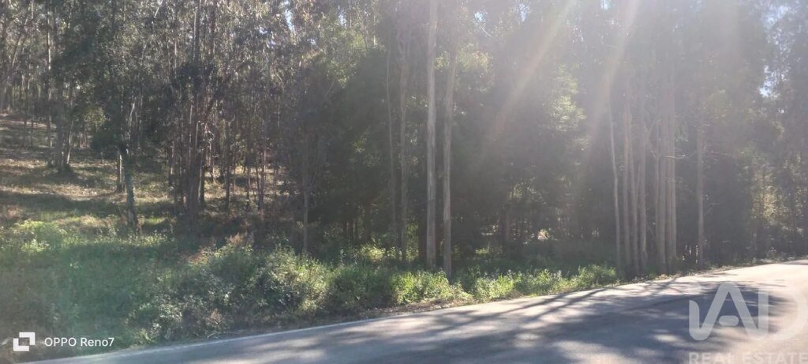 Terreno para Venda em Fonte Arcada Foto 20