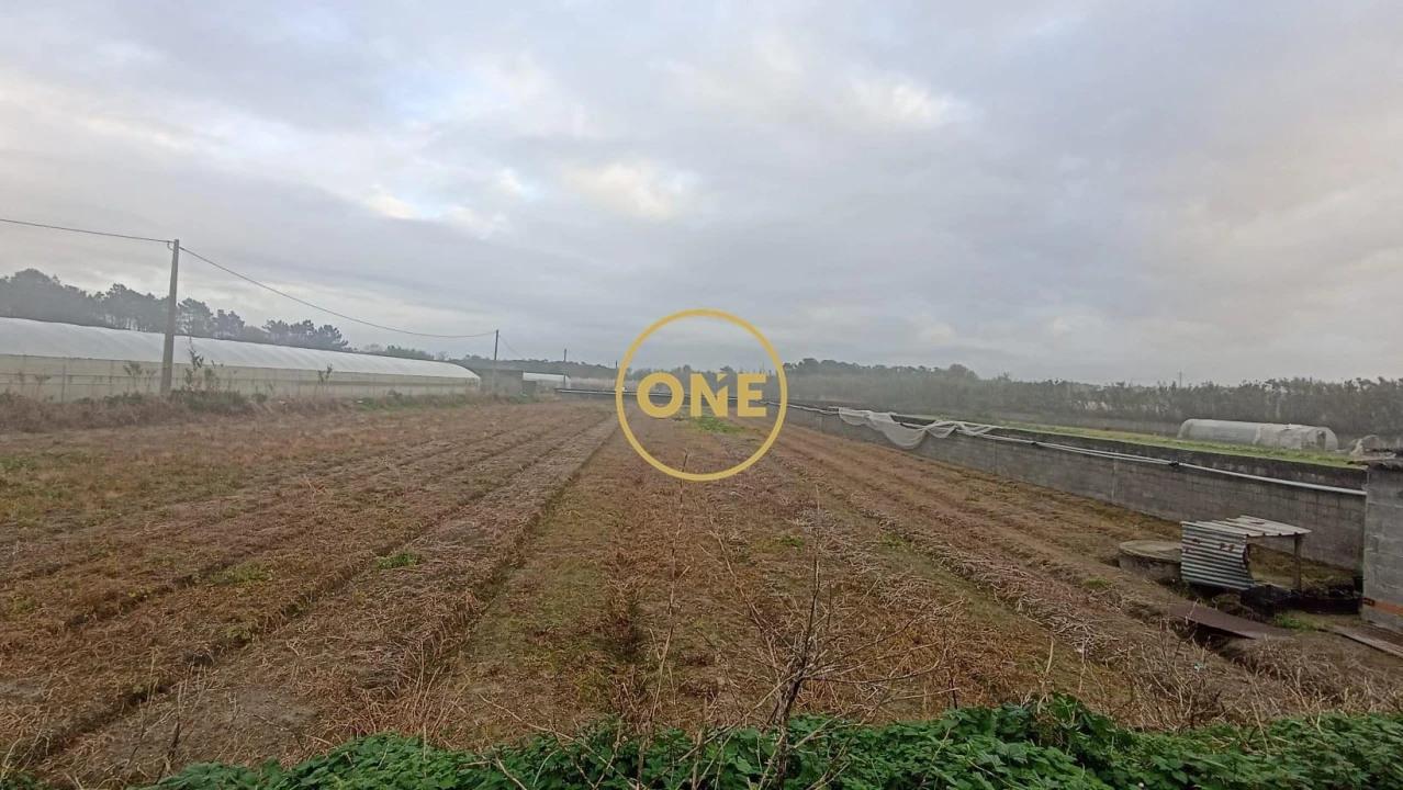 Terreno para Venda em Apúlia e Fão Foto 3