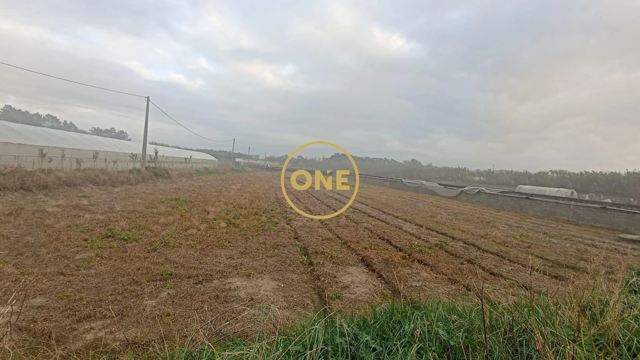 Terreno para Venda em Apúlia e Fão Foto 1