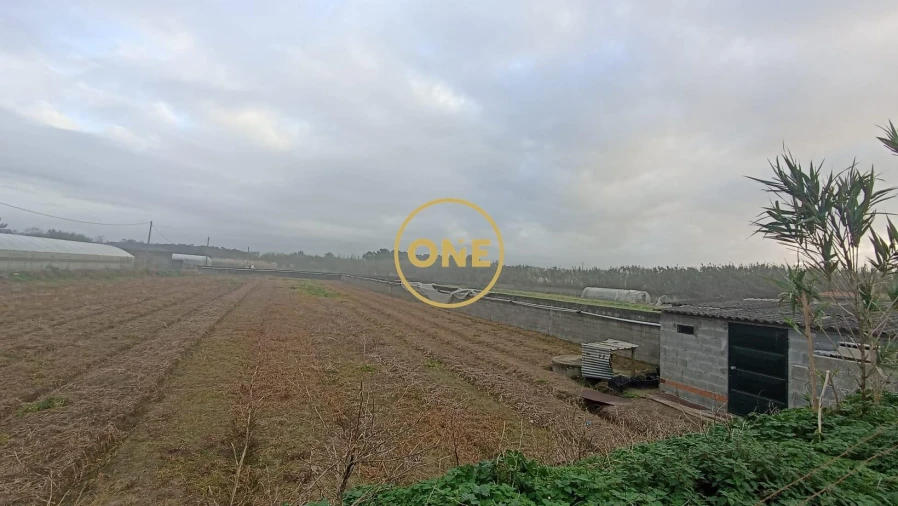Terreno para Venda em Apúlia e Fão Foto 6
