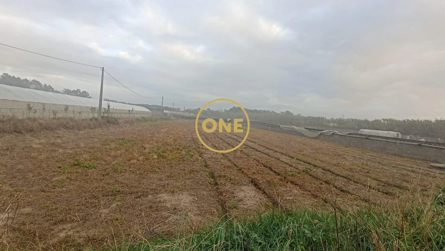 Terreno para Venda em Apúlia e Fão