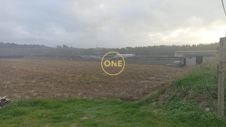 Terreno para Venda em Apúlia e Fão Foto 7