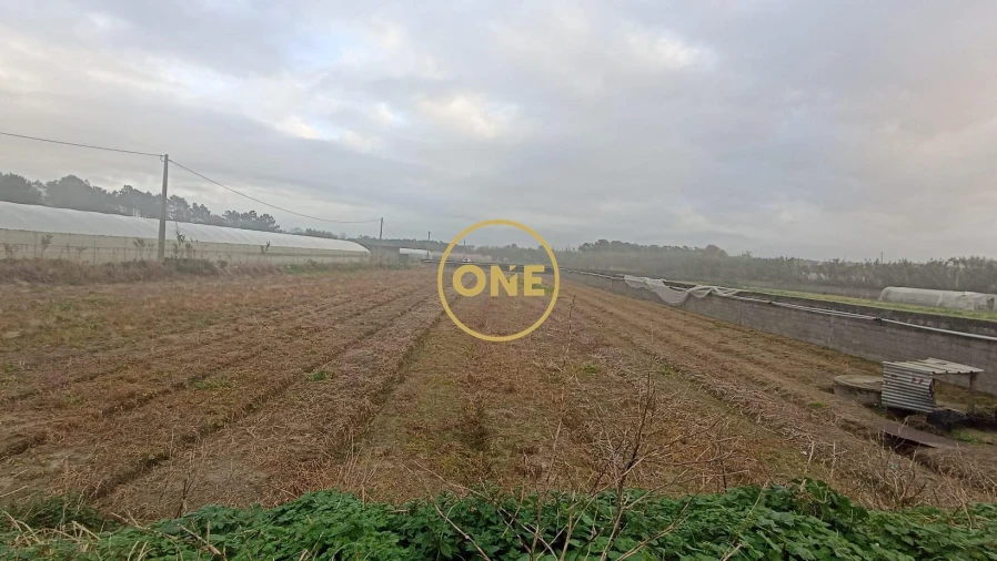 Terreno para Venda em Apúlia e Fão Foto 5