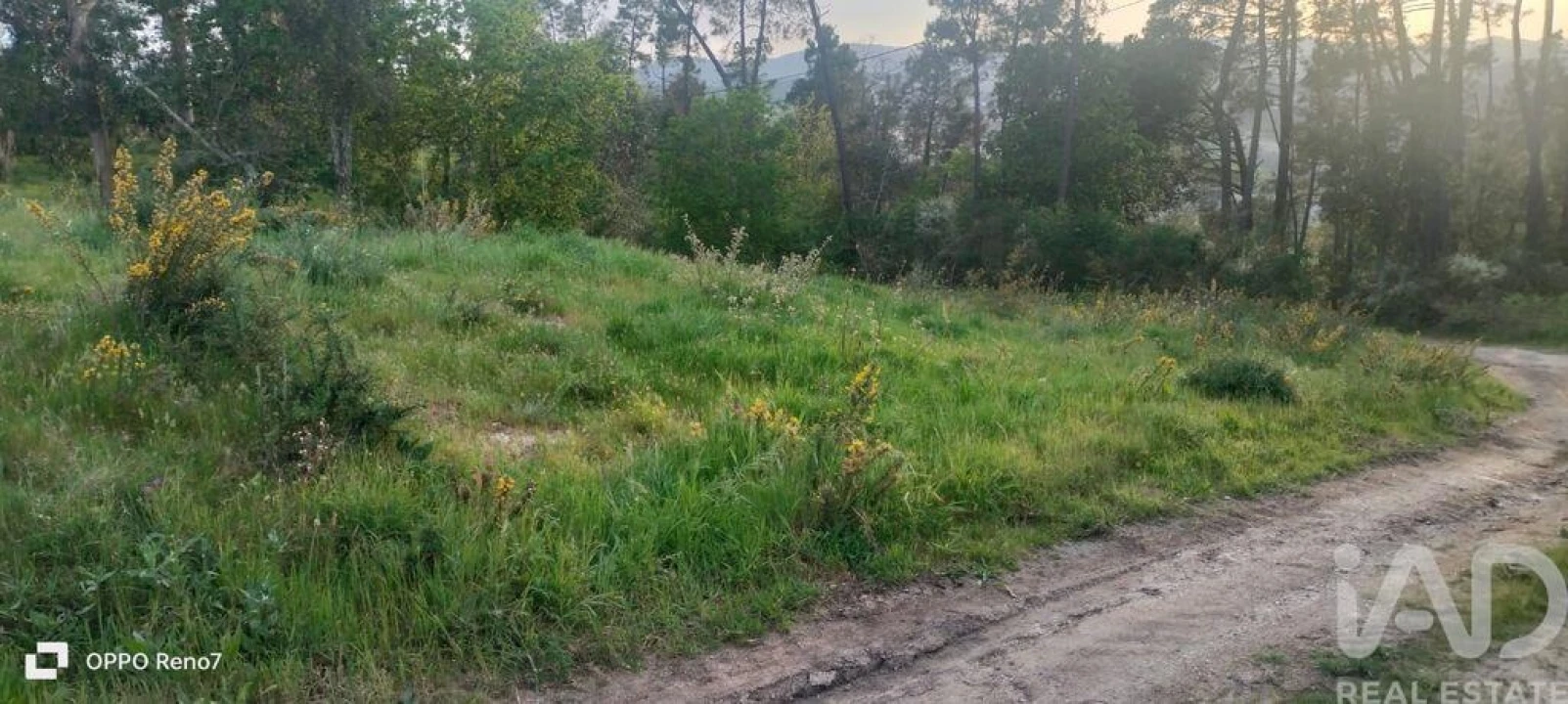 Terreno para Venda em Sande e São Lourenço Foto 13