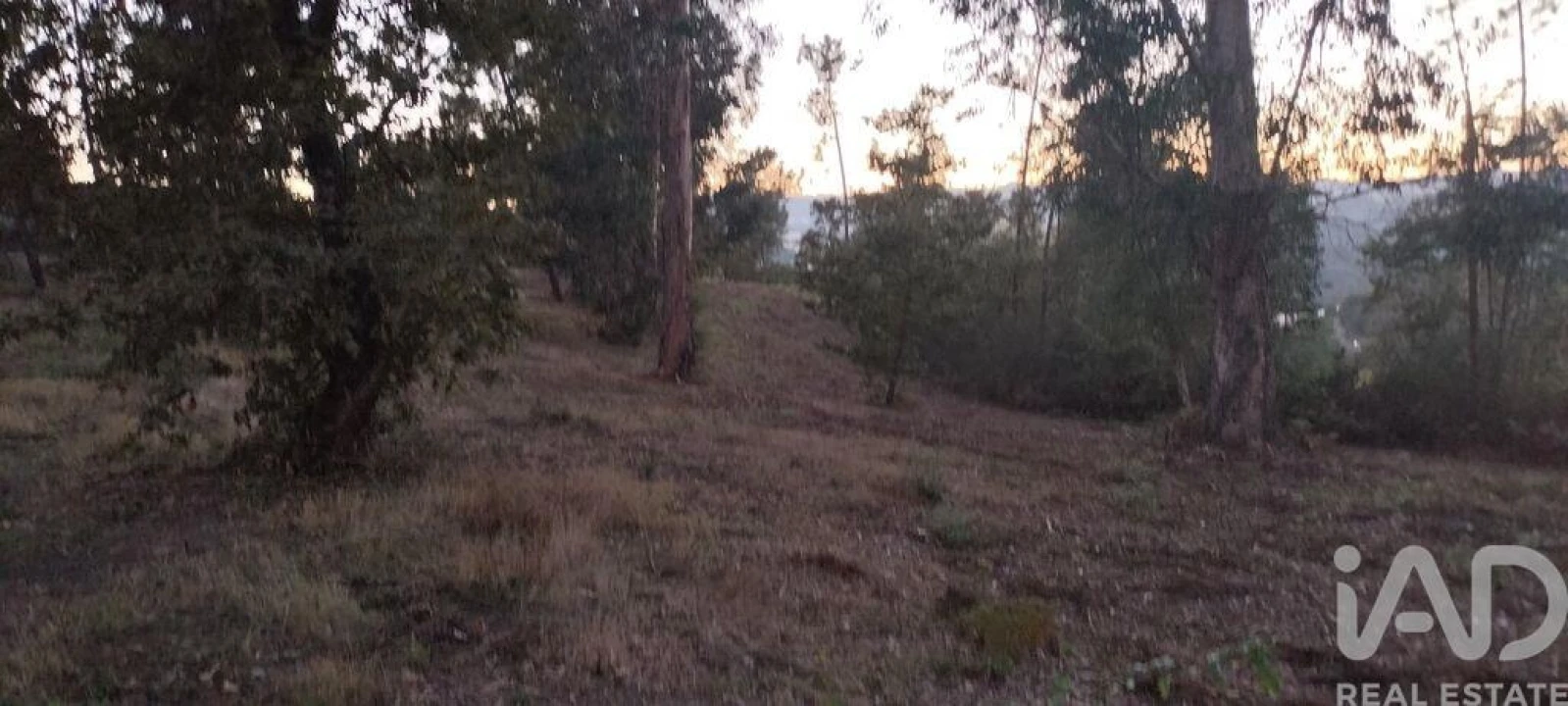 Terreno para Venda em Sande e São Lourenço Foto 24